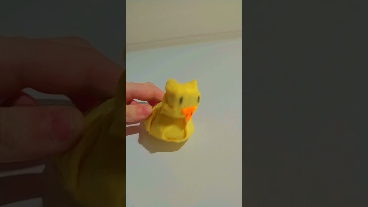 goofy lil guy I made for my partner's birthday #cringe #duckwalkeduptolemonadestand #furry