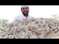 Prawns Fried Rice Recipe Shrimp Fried Rice For Kids Nawabs Kitchen