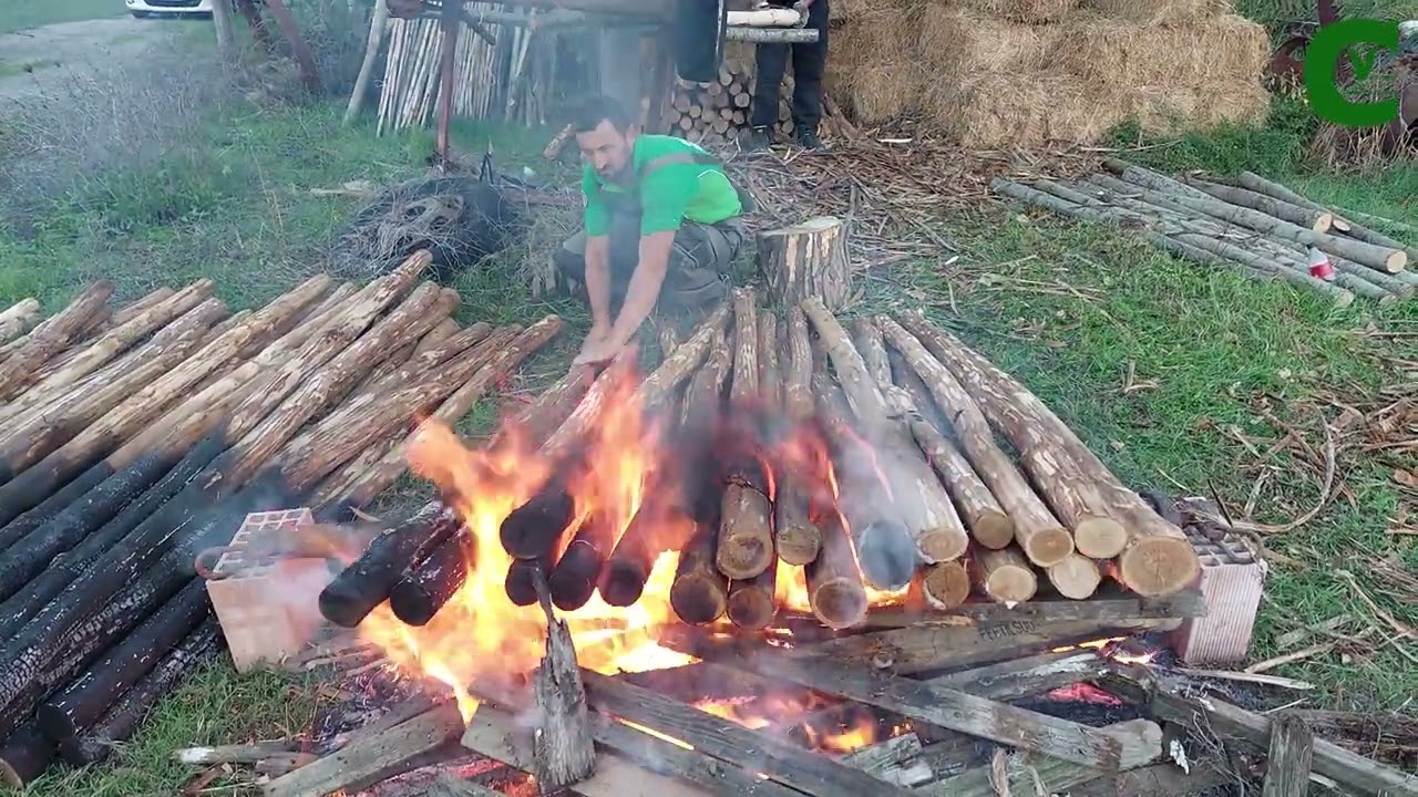 Pali: un metodo efficace per rendere resistenti e duraturi i pali per vigneti e recinzioni