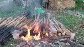 Pali: un metodo efficace per rendere resistenti e duraturi i pali per vigneti e recinzioni