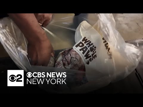 22 food pantries across NYC are making sure our furry family ...