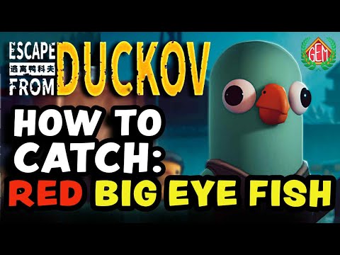 Escape from Duckov Where to Catch Red Big Eye Fish
