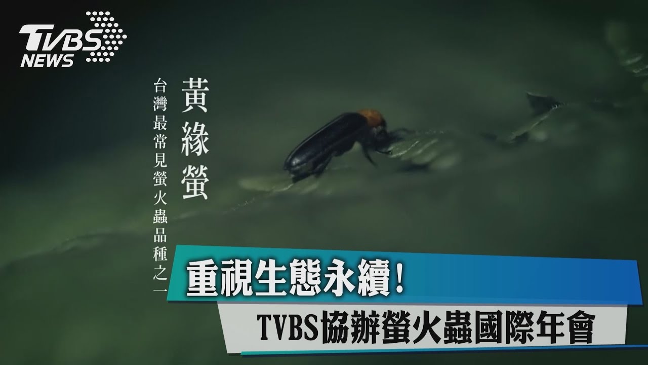 重視生態永續! TVBS協辦螢火蟲國際年會