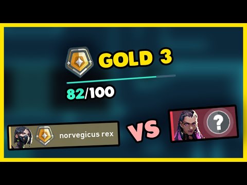 A Challenger Approaches | Boomer to Diamond ep. 7