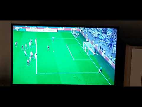 Tor Vicenzo Grifo vs Hamburg zum 0-3 (keine Wiederholung der Entstehung im Video)