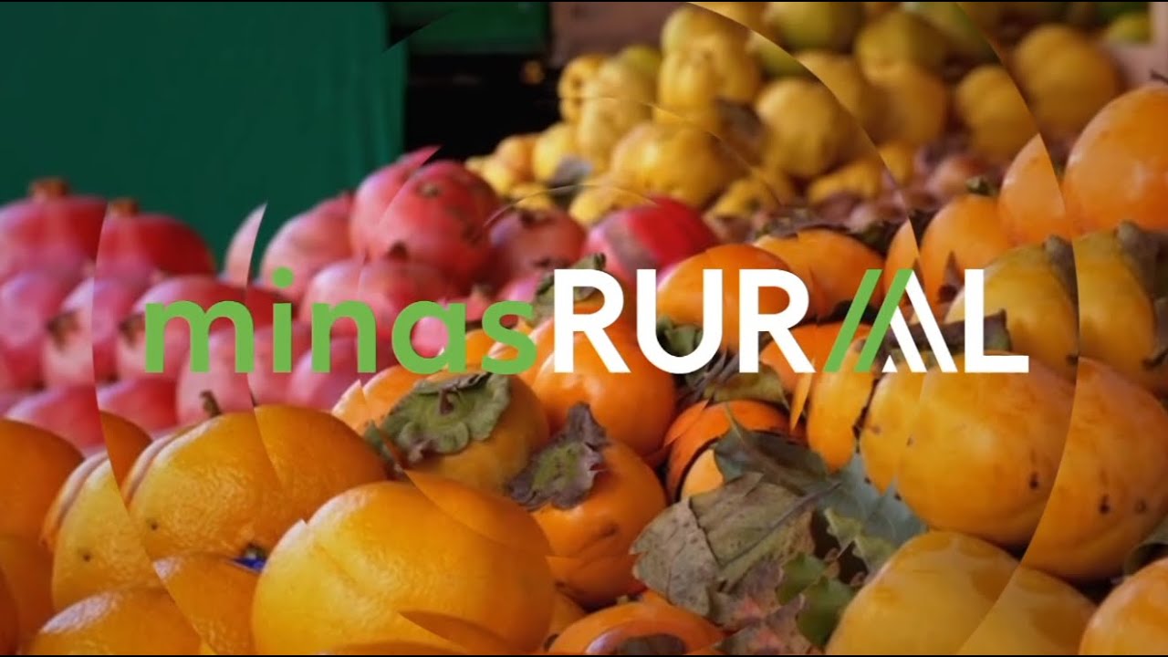 Confira a íntegra do programa Minas Rural deste sábado (30)!