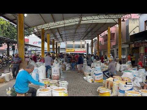 FEIRA DO MILHO DO FEIJAO EM SÃO BENEDITO CEARÁ 24/07/26