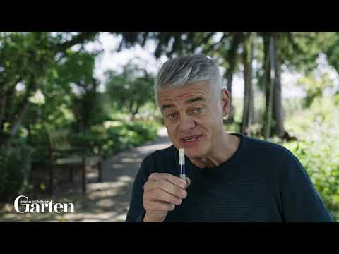 Moos im Rasen? 🌱 So wirst du es nachhaltig los!