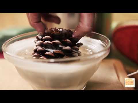 Pinecone Fire Starters are Kind of Amazing