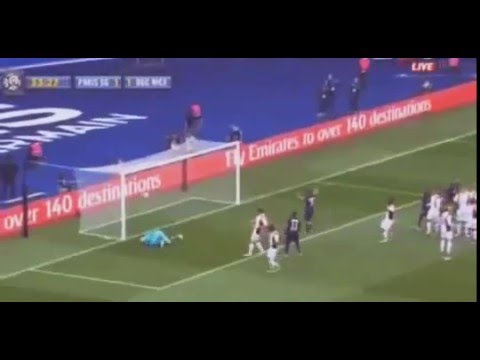 Zlatan Ibrahimovic Amazing Freekick Goal - PSG,