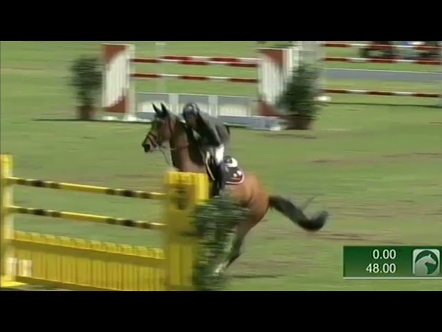 Grand-mother of Volbeat is the CSI 1.60m jumping mare Whitney v/d Dwerse Hagen with rider Patrik Spits.