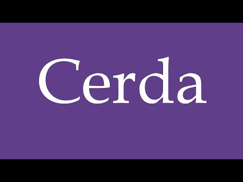 How To Pronounce ''Cerda'' (Sow, Female Pig) Correctly in Spanish 🇲🇽