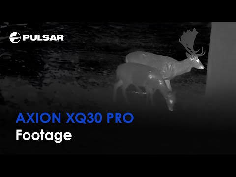 Thermal Imaging Monocular Pulsar AXION XQ30 PRO - Image 2
