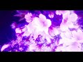 Rema Troublemaker Slowed Reverb