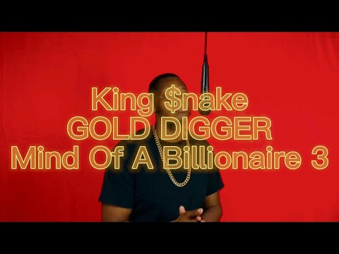 King $nake - Gold Digger (Live Performance)