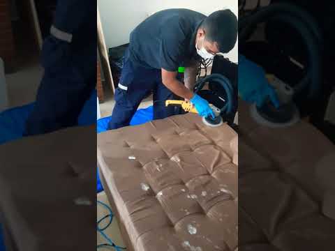 Limpeza e Higienização de Sofá, processo de Esfregação com politriz em alta Rotação.