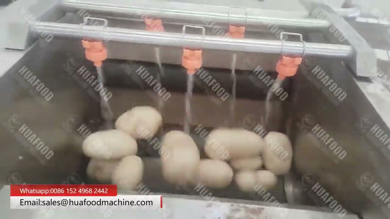 Cassava Washing And Peeling Machine For Root Vegetable Potato