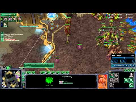 ZvP Builds How to Beat Almost Everything With One Build