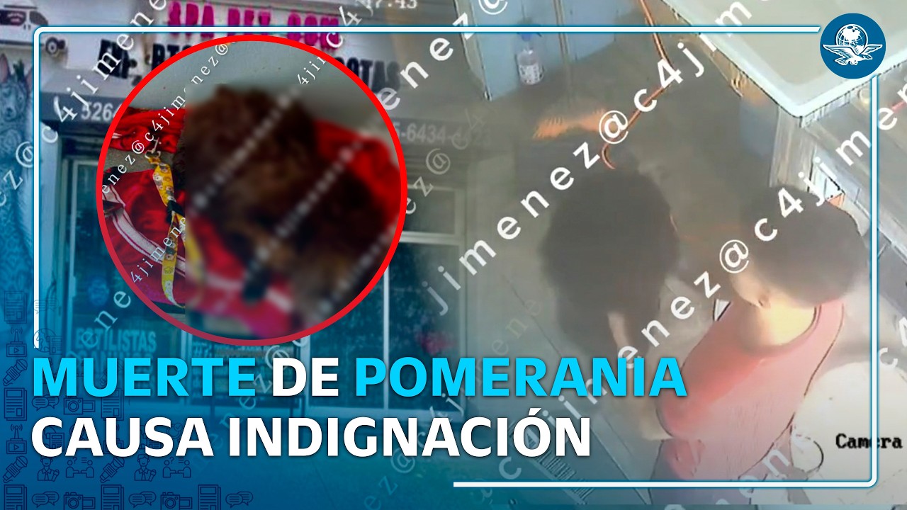 Detienen a empleado tras muerte de pomerania en estética canina de CDMX