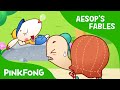 The Tortoise and the Hare | Aesop's Fables | PINKFONG Story Time for Children