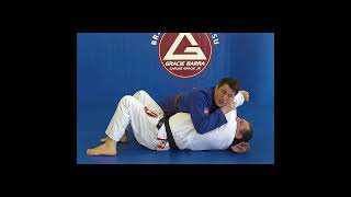 HEAD AND ARM CHOKE - Chael Sonnen
