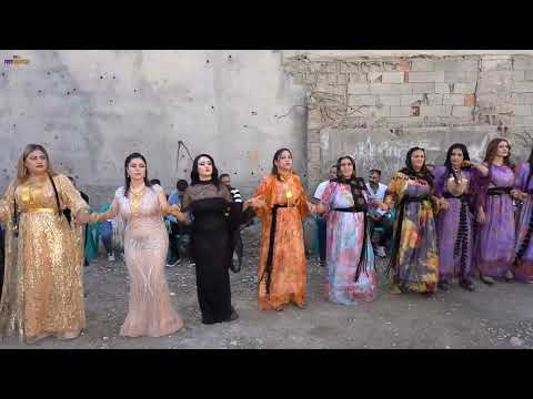 MENAF & ROZA DÜĞÜNÜ PART 1