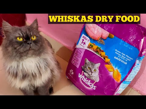 Cat Review WHISKAS Cat Food / Dry Cat Food /Food For Persian Cats