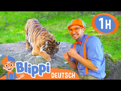 Blippi besucht einen Zoo 🐯 Blippi Deutsch | Abenteuer und Videos für Kinder