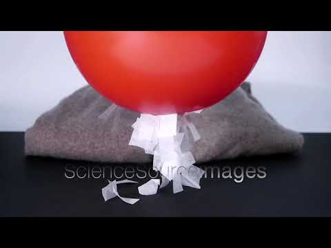 Demonstration of Static Electricity, a Balloon rubbed on a Wool Sweater Picks up Paper