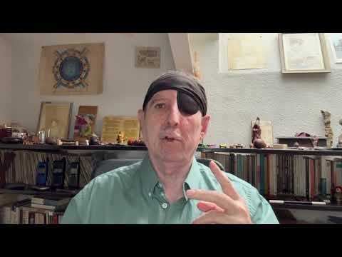 #CisneNegro | El cisne negro: símbolo de lo improbable y lo impactante | Cygnus atratus | #fauna