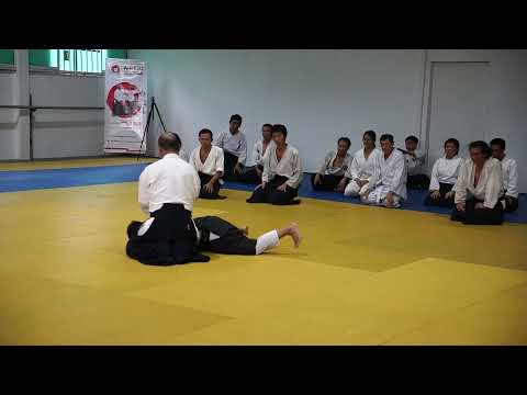2023 HAF Aikido Seminar - Shihan Etsuji Horii - Suwari waza katate dori ude garami 2