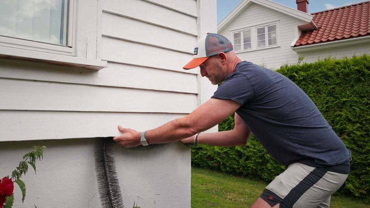 Musebørste & Rottebørste PROFF 5 M x 8 CM