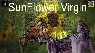 Sunflower Virgin, Viridian Green (Glaufx Garland) Album Night #darkwave #1980s #psychedelicrock