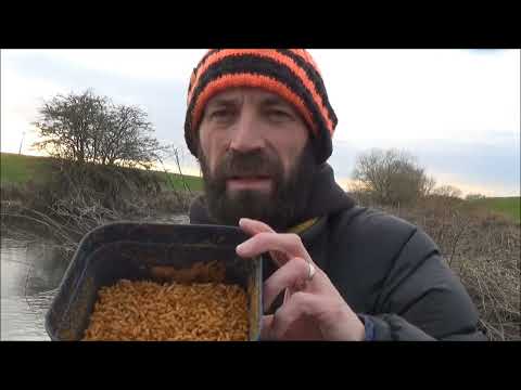 CHUB fishing- Roving on a small River - Feb 2023