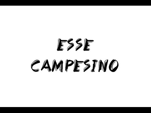 Esse : Campesino ( paroles + traduction )