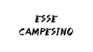 Esse : Campesino ( paroles + traduction )