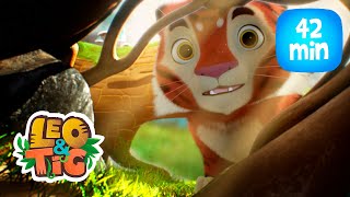Leo & Tig - A Caverna Misteriosa e mais aventuras de Leo e Tig | Desenhos infantil 🐯🦁