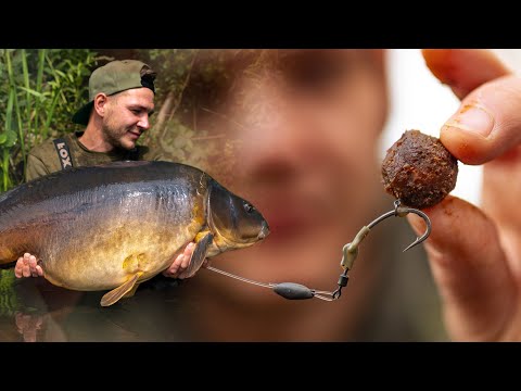 Das BESTE Spinner Rig | Für große KARPFEN 🐋