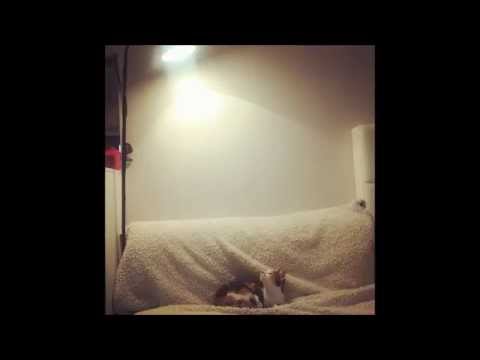 스무살 ft. 문현아 - 지워지지 않는 11자리 번호