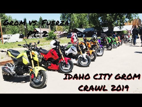 Icebear fuerza review // Idaho City Grom Crawl 2019 // Honda Grom vs. Icebear Fuerza pt. 2