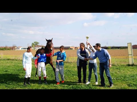 Prvi trkački dan u Bogatiću - REPORTAŽA