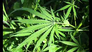 Identity by Identity