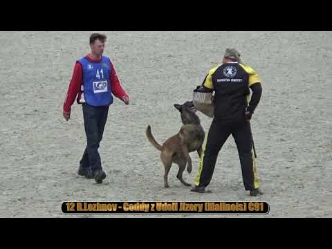 2021 IGP CACIT in Russia 12 R Lezhnev - Coddy z Udoli Jizery (Malinois) C91