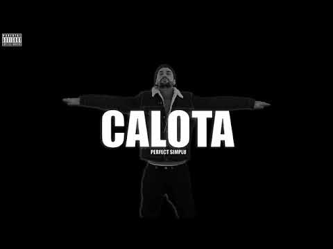 #4 CALOTĂ FEAT. BIANCA SANDU - TEOREMA LUI ION (Album “Perfect Simplu” 2020)