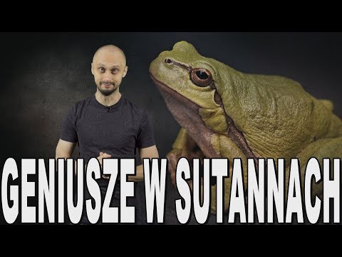 Geniusze w sutannach. Historia Bez Cenzury