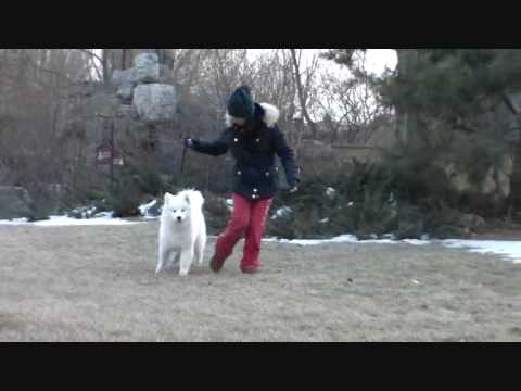 LAHMO @ 7 MO OLD.wmv