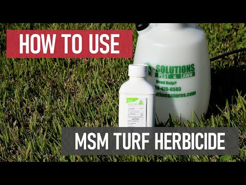 How to Use MSM Turf [Post-Emergent Herbicide]