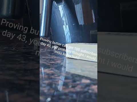 proving butter can get 100 subscribers day 43