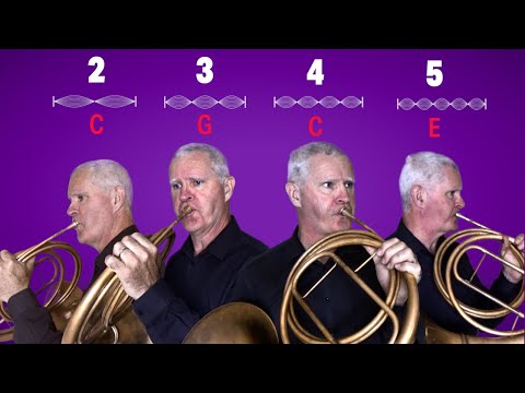 The Harmonic Series | Illustrated Theory of Music #8