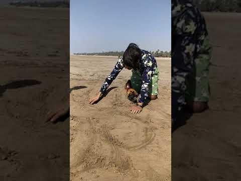 A Day with my dog on Aksa